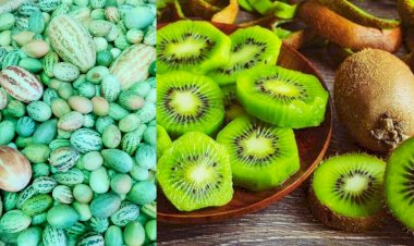 kivi vs kachra article by neelu shekhawat