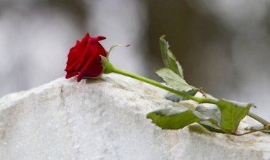 shant hu jya rajasthani bhasha by neelu shekhawat