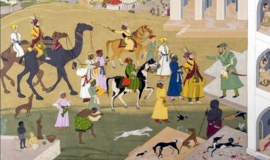 neelu shekhawat blog ha to barat tolde chalba dyo