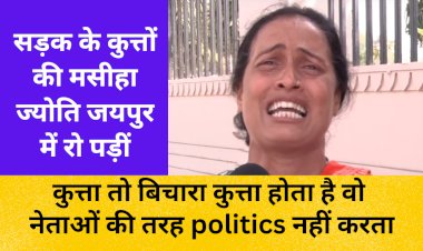 sirohi dog kill child and now battle between pmo and municipal counsil commissioner