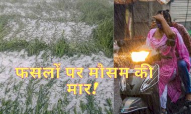 monsoon rains hail before departure rain destroys crops many districts