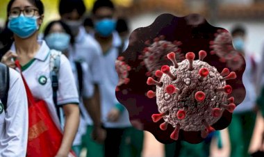 10000 new covid cases in last 24 hours 23 deaths 400 new positives found in rajasthan