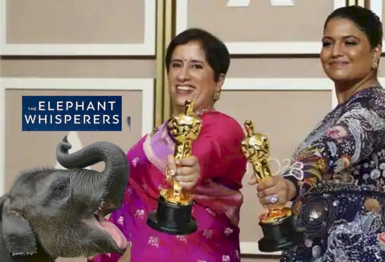 indias double blast at oscars along with natu natu the elephant whisperers also got oscar award
