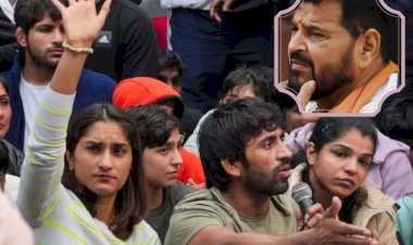 sports ministry bans wrestling federation of india elections amidst allegations of harassment