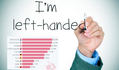 every eighth person in the netherlands is a lefty in india only five percent are left handed population in world