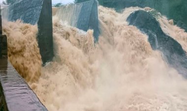 rain broke record of 116 years 56 dams filled before monsoon in rajasthan