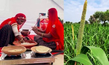millet became international united nations declared 2023 international year of millets