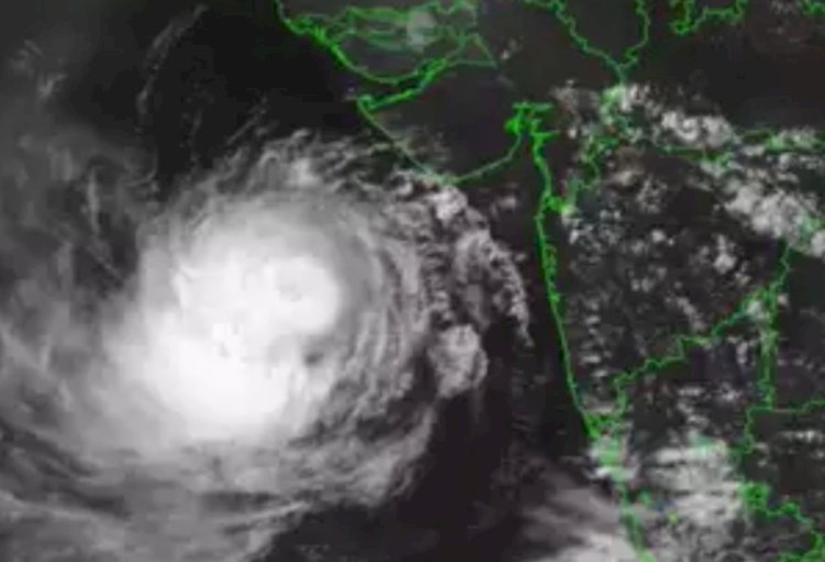 biparjoy havoc in barmer trees and electric poles uprooted by rain and strong winds