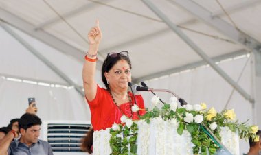 bjp meeting in delhi big decision can be taken regarding vasundhara raje
