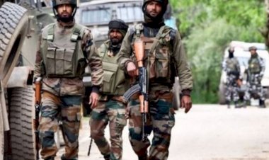 indian security forces killed 4 terrorists suspected to be pakistani weapons also recovered