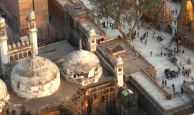 verdict in gyanvapi case asi survey approved