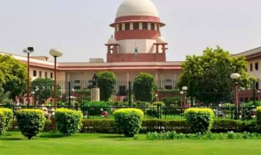 words like concubine affair molestation illegitimate will be removed from law dictionary