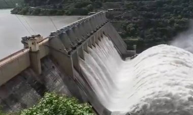 sdrf team rescued 4 laborers amid surge in river due to opening of jawai dam gates