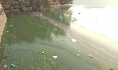 world famous nakki lake on verge of getting polluted