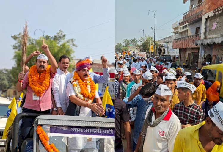 aap leader sanjay biyani filed nomination from vidhyadhar nagar seat and ps tomar from amer