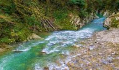 an action plan is being taken to obtain the full amount of water allocated to the state from the ravi beas rivers