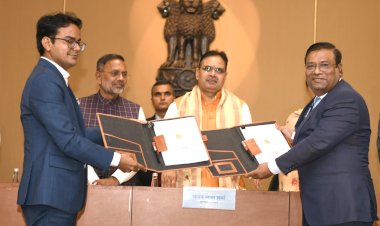 establishment of more than 31 thousand 825 companies