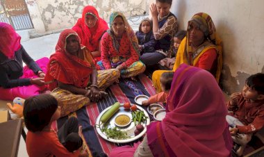 field officers should perform better and work to give recognition to rajasthan at the national level