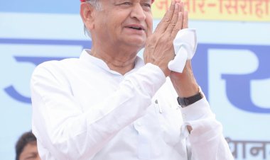 delhi vidhansabha election ashok gehlot bjp tmc