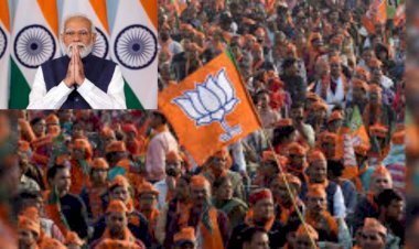 bjp is certain to win 11 seats