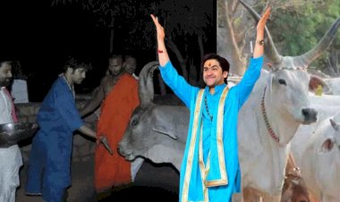 pathadhish of bageshwar dham dhirendra shastri reached nand village kesua rested for the night and said that laws should be made on cow slaughter