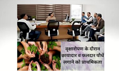 about 5 lakh shade fruit trees will be planted in the mining sector