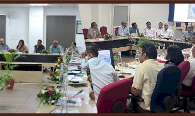 along with plantation 4 crore saplings will be distributed under tofr   chief secretary