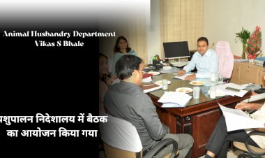 organization of meeting of animal husbandry department under the chairmanship of chief government secretary