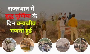 wildlife census in the state was done at more than 1000 drinking places along with forest workers and supporting personnel