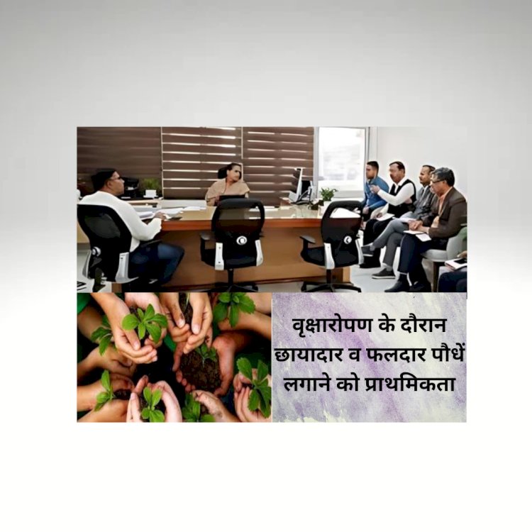 about 5 lakh shade fruit trees will be planted in the mining sector