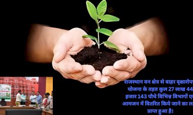 the target of plantation in the district should be achieved as soon as possible   district collector