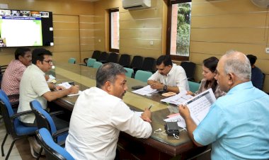 maintenance and protection of plants should be ensured for the next 3 years – chief secretary