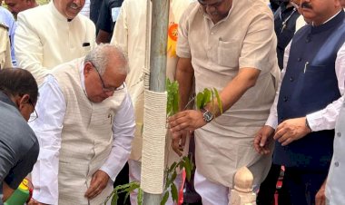 forest and environment