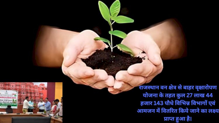 the target of plantation in the district should be achieved as soon as possible   district collector