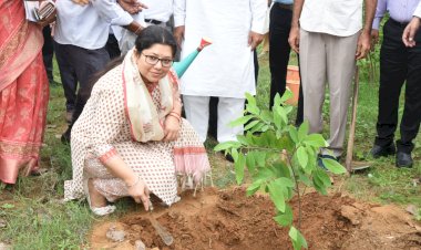 co operative department of rajasthan directory archana singh about entrepreneurship