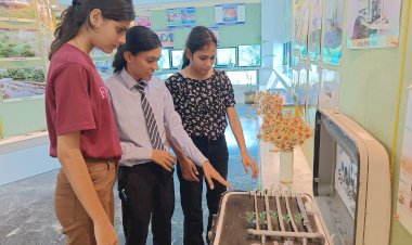 girls are getting support from incentive scheme