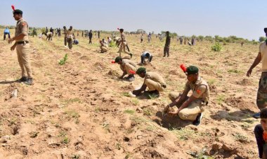 more than 5 lakh saplings were planted in one hour