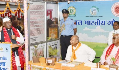 governor explained the importance of cow protection on gopashtami