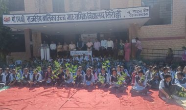 one plant program in the name of a well nourished daughter drumstick plants distributed