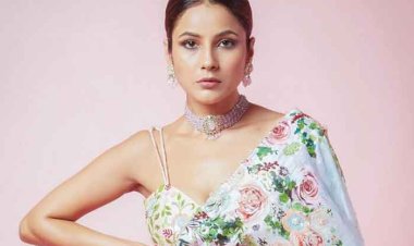 shehnaz gill journey of indian actress and model