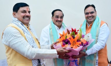 chief minister bhajanlal sharma meets union ministers