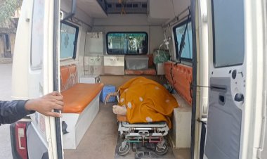 desuri road accident to save cow one died three injured