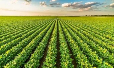 last date for insurance of rabi crops is 31st december