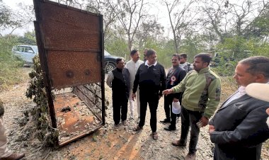 minister of state for forest took feedback of action from officials