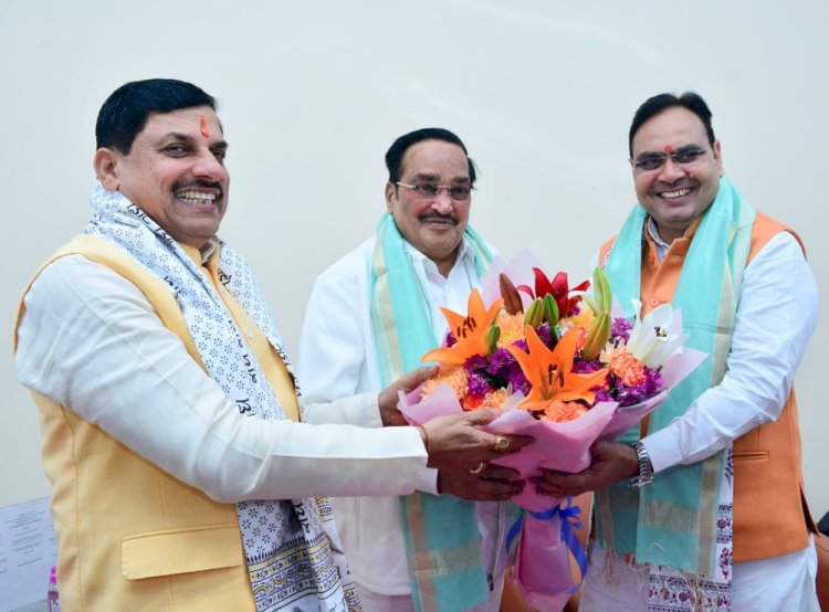 chief minister bhajanlal sharma meets union ministers