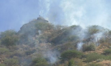 sirohi forest fire news in siranwa mountains