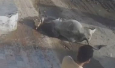 shriganganagar sadulshahar awara sand heart attack death