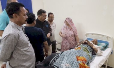 sirohi stray animals terror elderly man injured bull