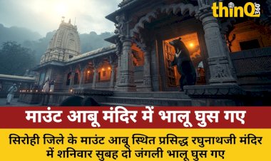 mount abu raghunathji temple bears panic