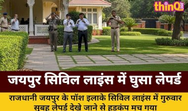 jaipur civil lines leopard minister bungalow